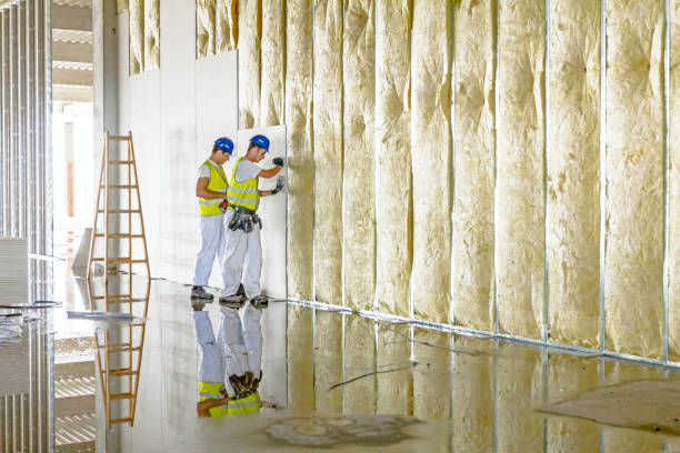 Best Eco-Friendly or Green Insulation Solutions  in Midtown, TN